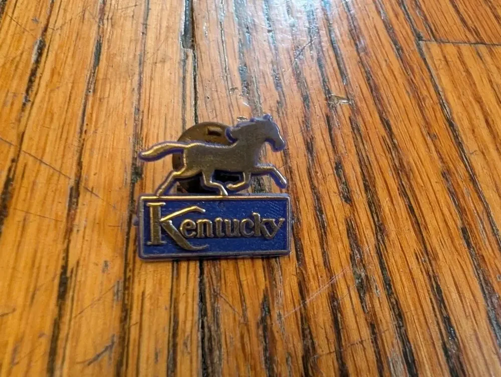 Vintage Kentucky Lapel Pin Plastic Blue Gold Painted Racing Horse Souvenir Pin